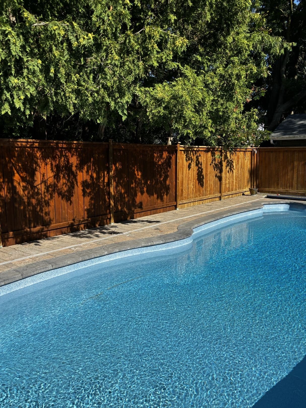 Sparkling blue swimming pool beside a wooden fence with dappled shadows and lush greenery.